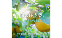 【約5kg】庄内梨の藤原　旬のおまかせ便&nbsp;由布市産&nbsp;庄内梨&nbsp;【晴れ箱】&nbsp;樹上完熟&nbsp;農家直送　8月上旬から発送　期間限定　大分県由布市特産品　＜庄内梨の藤原＞&nbsp;|&nbsp;期間限定&nbsp;季節限定&nbsp;果物&nbsp;フルーツ&nbsp;梨&nbsp;幸水&nbsp;豊水&nbsp;あきづき&nbsp;新高&nbsp;豊里&nbsp;愛宕&nbsp;完熟&nbsp;5kg&nbsp;送料無料&nbsp;湯布院&nbsp;由布院&nbsp;大分県&nbsp;大分&nbsp;九州&nbsp;ゆふいん&nbsp;BR002