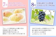 【定期便全6回】夏・秋の新鮮フルーツ定期便