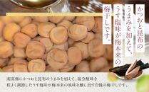 うす塩味 梅干し 紀州南高梅 700g ( 350g × 2 ）塩分 約10％ ご自宅の郵便受けにお届けします ご家庭用