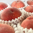 《先行予約・2026年6月～発送》厳選&nbsp;和歌山のこだわり桃&nbsp;4～6玉&nbsp;(約1.5kg)［MS130］