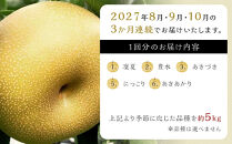 【定期便&nbsp;全3回／2027年8～10月発送】＜旬の梨おまかせ5kg・6-14玉＞×3回（自家製有機肥料・減農薬・化学肥料無使用）