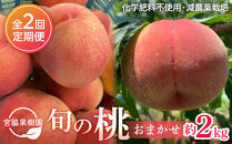 【定期便 全2回／2026年8・9月発送】＜旬の桃おまかせ約2kg・6～9玉＞×2回（自家製有機肥料・減農薬・化学肥料無使用）