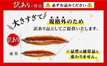 訳あり 九州産うなぎ備長炭手焼蒲焼３尾　合計1000g以上