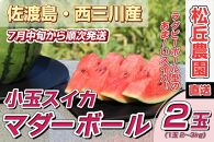 【先行予約】佐渡西三川・松丘農園の名産品小玉スイカ「マダーボール」2個（1玉2～3kg）