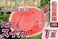 【先行予約】佐渡西三川・松丘農園の名産品「大玉スイカ」1個（1玉7～9kg）
