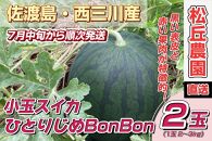 【先行予約】佐渡西三川・松丘農園の名産品小玉スイカ「ひとりじめBonBon]２個（1玉2～3kg）