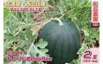 【先行予約】佐渡西三川・松丘農園の名産品小玉スイカ「ひとりじめBonBon]２個（1玉2～3kg）