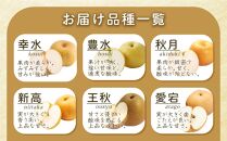 旬の梨（約5kg)＜筑前町産 産地直送＞【梨 なし ナシ 幸水 豊水 秋月 新高 王秋 愛宕 果物 くだもの 果実 フルーツ 新鮮 フレッシュ 旬 筑前町産 食品 おすすめ 人気 ふるさと納税 福岡県 筑前町 送料無料 AE002】