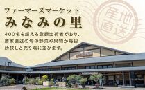 旬の梨（約5kg)＜筑前町産 産地直送＞【梨 なし ナシ 幸水 豊水 秋月 新高 王秋 愛宕 果物 くだもの 果実 フルーツ 新鮮 フレッシュ 旬 筑前町産 食品 おすすめ 人気 ふるさと納税 福岡県 筑前町 送料無料 AE002】