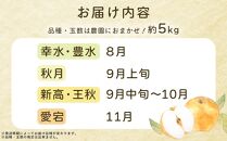 旬の梨（約5kg)＜筑前町産 産地直送＞【梨 なし ナシ 幸水 豊水 秋月 新高 王秋 愛宕 果物 くだもの 果実 フルーツ 新鮮 フレッシュ 旬 筑前町産 食品 おすすめ 人気 ふるさと納税 福岡県 筑前町 送料無料 AE002】
