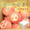 和歌山県産 田口の甘夏 秀品 10キロ 2Ｌ～3Ｌ（約23～21玉） サイズおまかせ