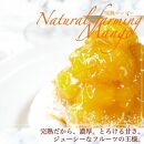 【AB1253VC02】【父の日限定】【とろっと甘いマンゴーがどっさり】完熟マンゴーチーズタルト【1ホール（14cm）】/&nbsp;心優-CotoyuSweets【ポイント交換専用】