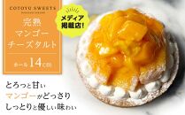 【AB1253VC02】【父の日限定】【とろっと甘いマンゴーがどっさり】完熟マンゴーチーズタルト【1ホール（14cm）】/&nbsp;心優-CotoyuSweets【ポイント交換専用】