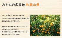 ★薄皮で濃い甘さ！完熟由良みかん【ご家庭用】5kg×1箱（混サイズ）和歌山県由良産