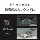 ソニー（SONY） 4K液晶テレビ BRAVIA（ブラビア）X90Lシリーズ KRJ-65X90L（65V型）【設置対応あり】