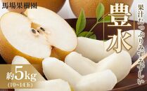 【馬場果樹園】梨「豊水」約5kg（10～14玉入）9月初旬～順次発送