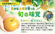 【2026年先行予約／馬場果樹園】梨「あきづき」約5kg（8～14玉入）9月中旬～順次発送