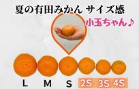 【5月下旬出荷予定】小玉ちゃん ハウスみかん 温室栽培 夏の有田みかん 2kg 秀品 2Sサイズ以下 和歌山県 産地直送 みかんの会