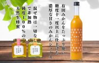 みかんジュース (500ml×2本) と はちみつ ( みかん蜂蜜・百花蜂蜜 各210g) セット 和歌山県産 産地直送 【みかんの会】