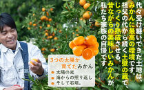 蔵出しみかん&nbsp;3kg&nbsp;S・M・Lサイズ&nbsp;和歌山県海南市鈴木農園&nbsp;みかん&nbsp;mikan&nbsp;ミカン&nbsp;蜜柑&nbsp;&nbsp;温州みかん蔵出しみかん&nbsp;3kg&nbsp;S・M・Lサイズ&nbsp;和歌山県海南市鈴木農園&nbsp;みかん&nbsp;mikan&nbsp;ミカン&nbsp;蜜柑&nbsp;&nbsp;温州みかん