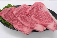 おおいた和牛 食べ比べ セット 計1.6kg（サーロインステーキ600g・切り落とし1kg）
