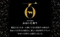 年内発送　おおいた和牛 切り落とし 1kg（500g×2P）