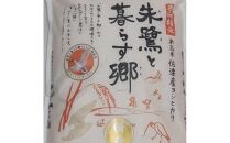 令和6年産 佐渡産コシヒカリ米「朱鷺と暮らす郷」5kg 佐渡・今井茂助商店おすすめ