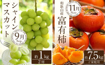 和歌山の旬の果実を&nbsp;奇数月にお届け全6回定期便【TM49】