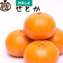 ［先行予約］厳選&nbsp;せとか5kg+250g（傷み補償分）［柑橘・春みかんの王様］［光センサー選果・食べ頃出荷］&nbsp;［IKE119］