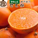 ［先行予約］家庭用&nbsp;せとか1kg+250g（傷み補償分）［柑橘・春みかんの王様］［わけあり・訳あり］［光センサー選果・食べ頃出荷］［IKE118］