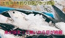 冷凍もちもち食感ビリかつお刺身250gｘ2節【鰹 切身 新鮮 魚 魚介 食品  人気 おすすめ 高知県 南国市】