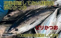 冷凍もちもち食感ビリかつお刺身300gｘ2節【鰹 切身 新鮮 魚 魚介 食品  人気 おすすめ 高知県 南国市】