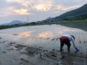 【数量・期間限定】2025年度　新米（朝日米）玄米10kg　【香川県産、自然栽培・無肥料無農薬】