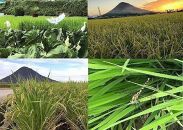 【数量・期間限定】2025年度　新米（朝日米）玄米10kg　【香川県産、自然栽培・無肥料無農薬】