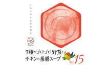 ７種類のゴロゴロ野菜とチキンの薬膳スープNo.15　カンポウテーブル