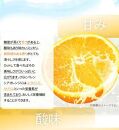 秀品 希少な国産バレンシアオレンジ 2.5kg【2024年6月下旬頃～2024年7月上旬頃に順次発送】【UT75】