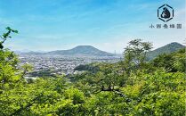 香川県産 純粋百花はちみつ 5月MAY 450ｇ×1