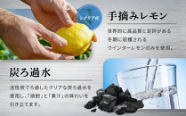 【宝酒造】タカラ canチューハイ＜レモン＞ 24本セット 350ml ［ 京都 タカラ 缶チューハイ レモン 人気 おすすめ 酎ハイ サワー レモンサワー お酒 焼酎 晩酌 お取り寄せ 通販 送料無料 ふるさと納税 ］