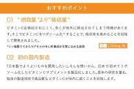 【6ヶ月定期便】【Lypo-C】リポ カプセル ビタミンC（30包入） 1箱