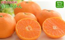 [秀品]和歌山有田みかん約5kg(MまたはLサイズ) ★2024年11月中旬頃より順次発送【TM98】