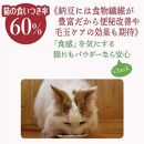 犬猫用　まぜまぜ納豆パウダー　レギュラーサイズ45g×4個