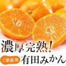 【先行予約】有田育ちのご家庭用 完熟有田みかん6kg【2024年11月上旬より発送】【訳あり】