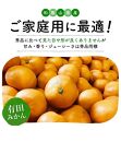 【先行予約】有田育ちのご家庭用 完熟有田みかん6kg【2024年11月上旬より発送】【訳あり】