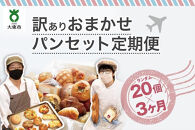 【3か月定期便】おまかせパン20個の詰め合わせ 訳ありパンセット（冷凍）