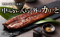 うなぎ蒲焼き4尾入り 860g～960g（蒲焼たれ8袋 山椒付き）［KS7］