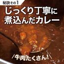 【3か月定期便】カレーパン 6個 牛肉 ゴロゴロ グランプリ 金賞受賞