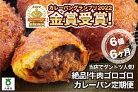 【6か月定期便】カレーパン 6個 牛肉 ゴロゴロ グランプリ 金賞受賞