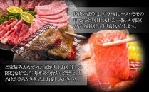 博多和牛 焼肉用　500g ( 1パック )【博多和牛 和牛 牛 肉 お肉 焼肉 焼き肉 贅沢 人気 食品 オススメ 送料無料 福岡県 筑前町 AR007】