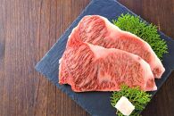 博多和牛 サーロインステーキセット 500g ( 250g×2枚 )【博多和牛 和牛 牛 肉 お肉 サーロイン ステーキ 贅沢 人気 食品 オススメ 送料無料 福岡県 筑前町 AR008】