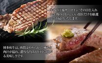 博多和牛 サーロインステーキセット 500g ( 250g×2枚 )【博多和牛 和牛 牛 肉 お肉 サーロイン ステーキ 贅沢 人気 食品 オススメ 送料無料 福岡県 筑前町 AR008】